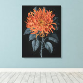 Fiery Elegance: Orange Chrysanthemum Leinwanddruck (Insitu (Holzboden))