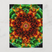 Fiery Garden Postkarte (Vorderseite)