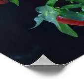 Fiery Hot Chili. Poster (Ecke)