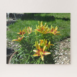 Fiery Lily Blume Puzzle