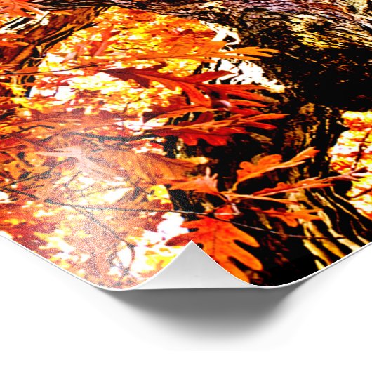 Fiery Oak Fotodruck (Ecke)
