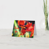 Fiery Orange Lily Blume Danke Card (Vorderseite)