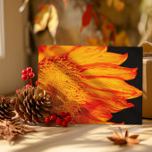 Fiery Orange Sonnenblume Innen