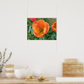 Fiery Orange Tulip Print Poster (Küche)