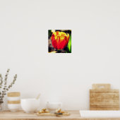Fiery Orange Yellow Tulip Blume Nah Up Poster (Küche)
