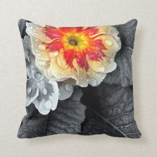 Fiery-Primrose-Fotografie Kissen