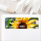 Fiery Sunflower (Insitu)