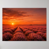 Fiery Sunset Lavender Fields Poster - Warm Orange (Vorne)