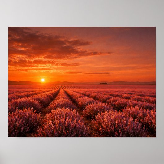 Fiery Sunset Lavender Fields Poster - Warm Orange (Vorne)