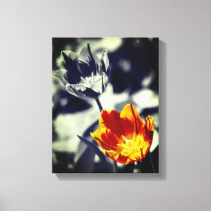 Fiery Tulip Blume Pair Partial Color Leinwanddruck