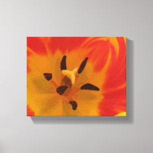 Fiery Tulip Canvas Print Leinwanddruck