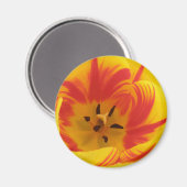 Fiery Tulip Magnet (Vorderseite/Rückseite)