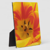Fiery Tulip Plaque Fotoplatte (Seite)