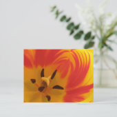Fiery Tulip Postcard Postkarte (Stehend Vorderseite)