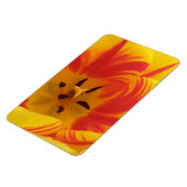Fiery Tulip Premium Magnet (Linke Seite)