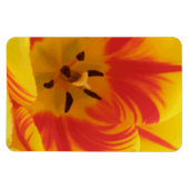 Fiery Tulip Premium Magnet (Horizontal)
