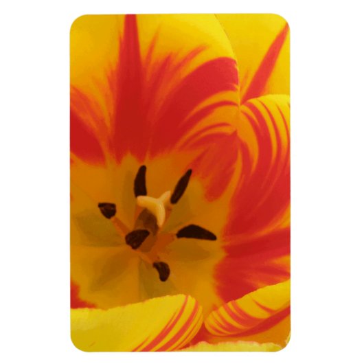 Fiery Tulip Premium Magnet (Vertikal)