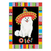 Fiesta American Eskimo Dog (Vorne)