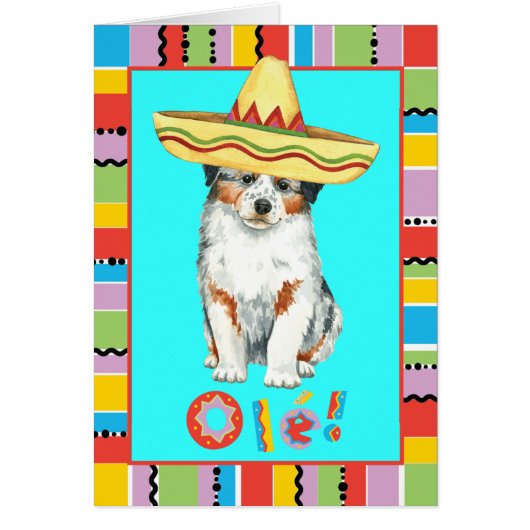Fiesta Aussie Greeting Card (Vorne)