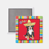 Fiesta Berner Magnet (Vorderseite/Rückseite)