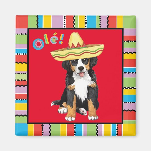 Fiesta Berner Magnet (Vorne)