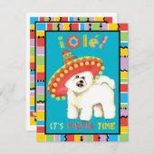 Fiesta Bichon Einladung (Vorne/Hinten)