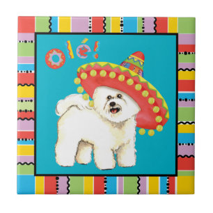 Fiesta Bichon Fliese
