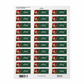 Fiesta Blume 2555 Anschrift (Vorne)