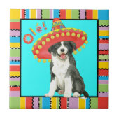 Fiesta Border Collie Fliese (Vorderseite)