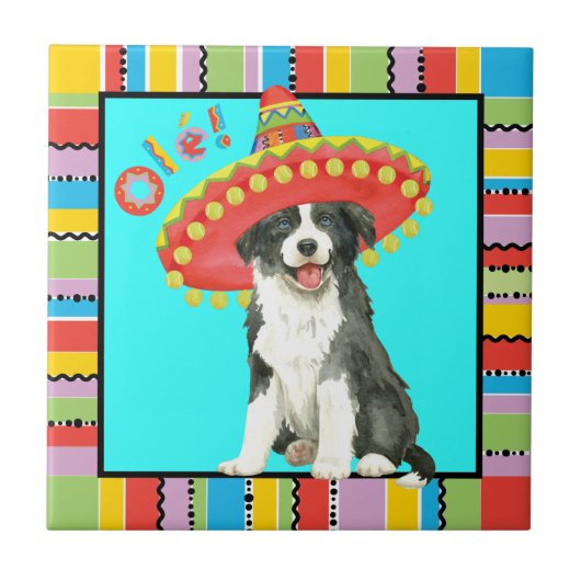 Fiesta Border Collie Fliese (Vorderseite)
