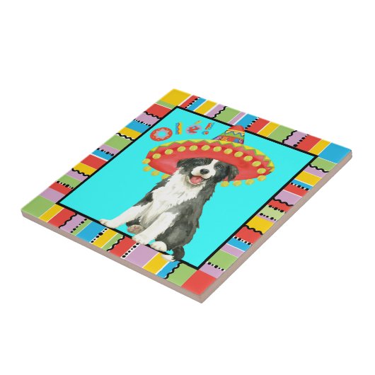 Fiesta Border Collie Fliese (Seite)