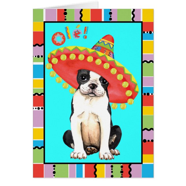 Fiesta Boston Terrier (Vorne)