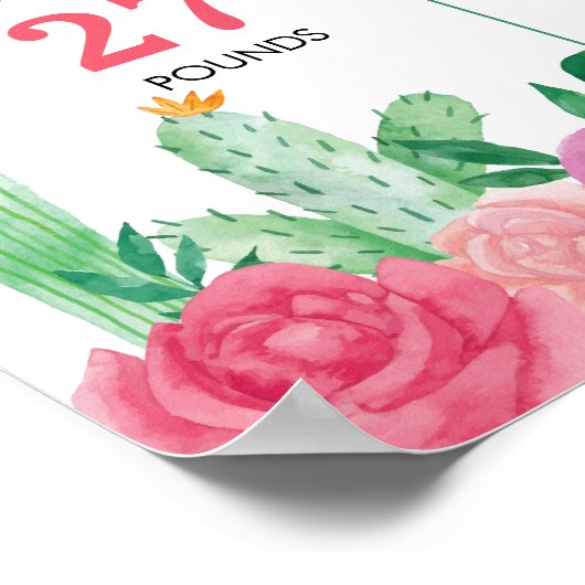 Fiesta Cactus Girl Poster (Ecke)