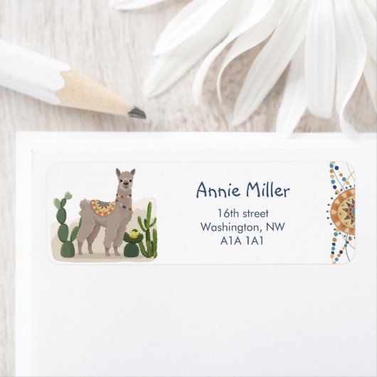 Fiesta Cactus Llama Baby Shower (Insitu)