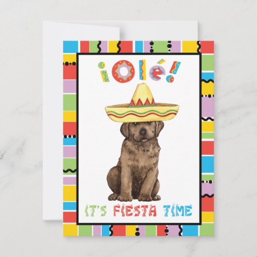 Fiesta Chocolate Labrador Einladung (Vorderseite)