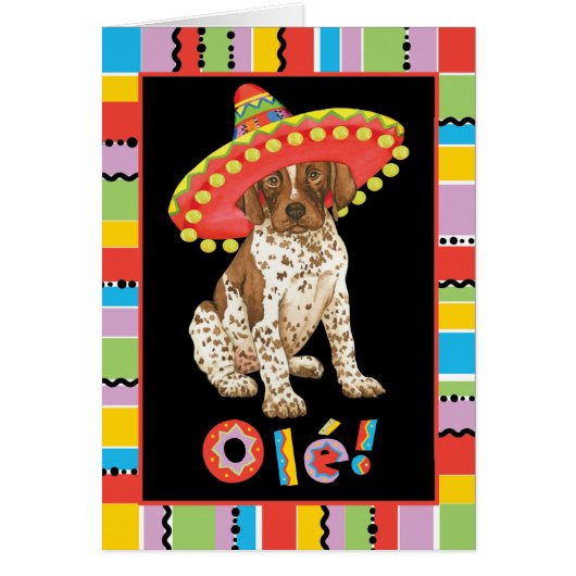 Fiesta German Shorthaired Pointer Card (Vorne)