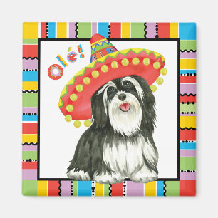 Fiesta Havanese Magnet