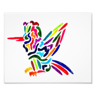 Fiesta Hummingbird Print Fotodruck