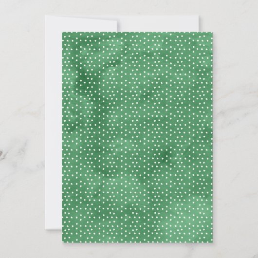 Fiesta Llama Watercolor Kinderdusche Einladung (Rückseite)