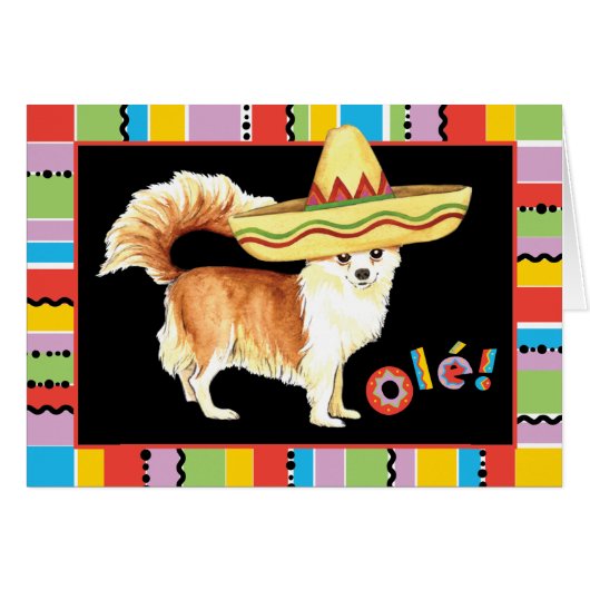 Fiesta Long Coat Chihuahua Grußkarte (Vorderseite (Horizontal))