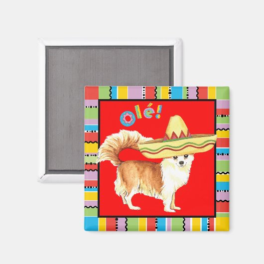 Fiesta Long Coat Chihuahua Magnet (Vorderseite/Rückseite)
