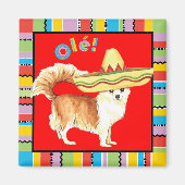Fiesta Long Coat Chihuahua Magnet (Vorne)