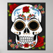 Fiesta Mex Poster (Vorne)