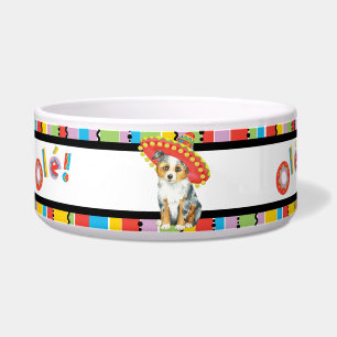 Fiesta Miniature American Shepherd Napf