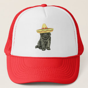 Fiesta Newfundland Trucker Hat Truckerkappe