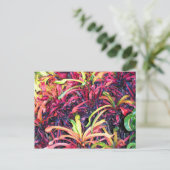 Fiesta of Color - Postcard Postkarte (Stehend Vorderseite)