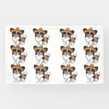Fiesta Papillon Dog Wearing Sombrero und Sarape