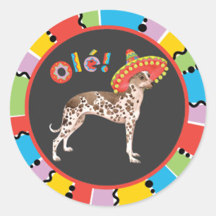 Fiesta Peruvian Inca Orchid Runder Aufkleber