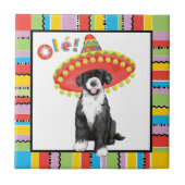 Fiesta PWD Fliese (Vorderseite)