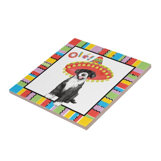 Fiesta PWD Fliese (Seite)